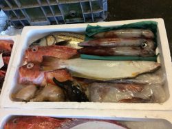 selection of fresh fish