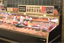 クロマグロの試食販売1